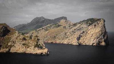 Everything But The Bagel Seasoning