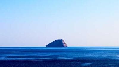 Organic Cold Brew Coffee