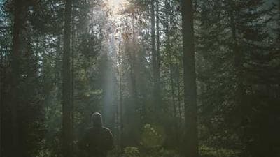 Triple Double Crunchwrap