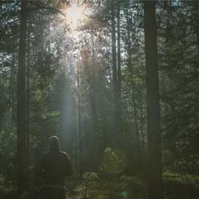 Triple Double Crunchwrap