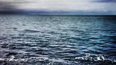 Impossible Burger Patties