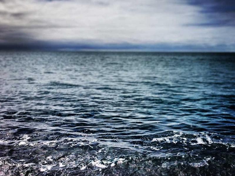 Impossible Burger Patties