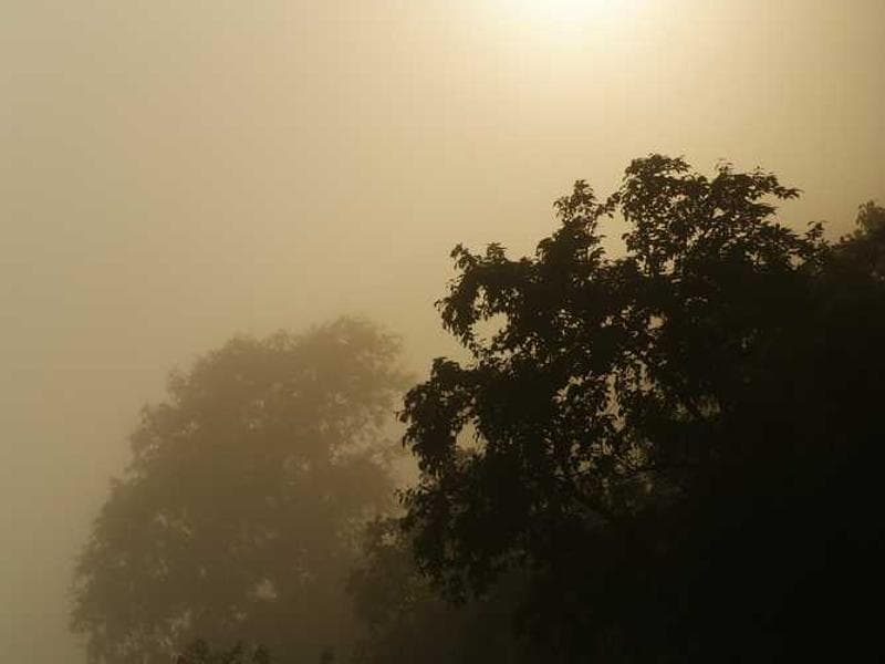 Just Bare Chicken Nuggets