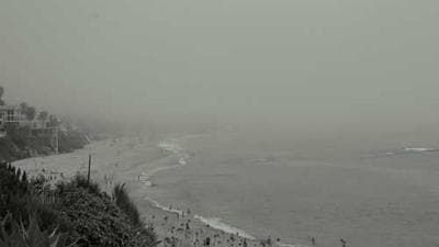 Kirkland Signature Rotisserie Chicken