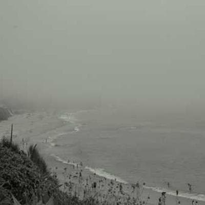 Kirkland Signature Rotisserie Chicken