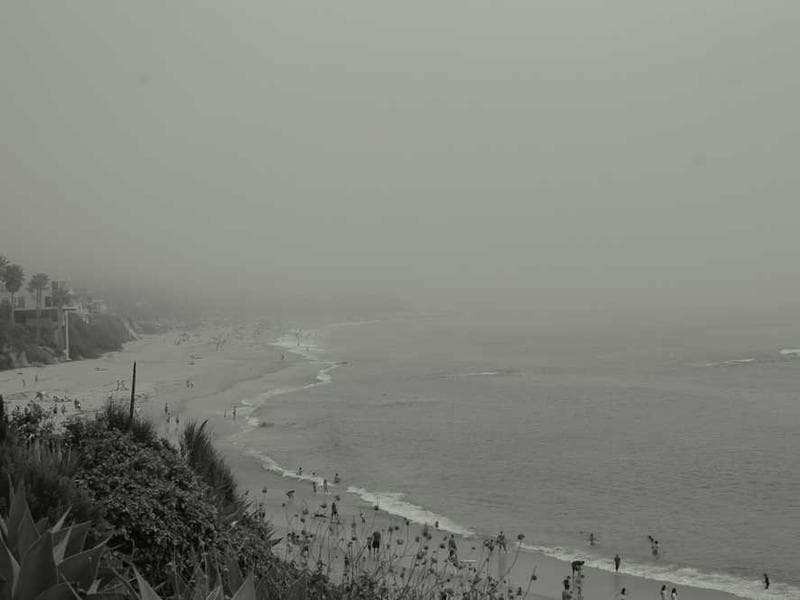 Kirkland Signature Rotisserie Chicken