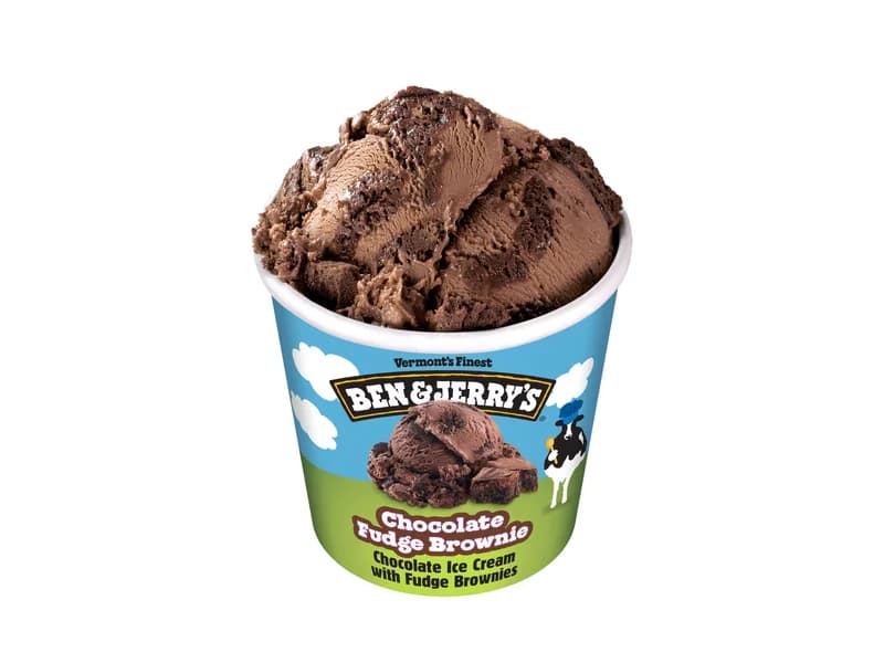 Chocolate Fudge Brownie
