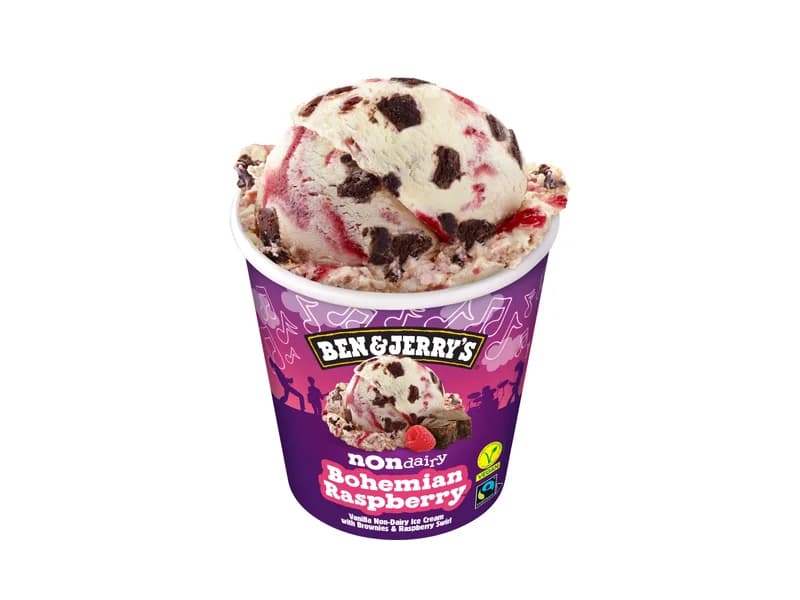 Non-Dairy Bohemian Raspberry