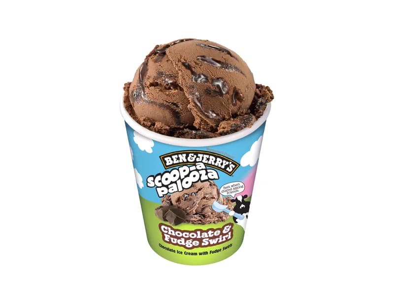 Scoop-a-palooza Chocolate and Fudge Swirl