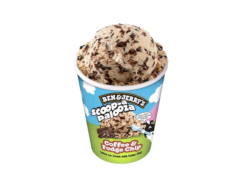 Scoop-a-palooza Coffee and Fudge Chip