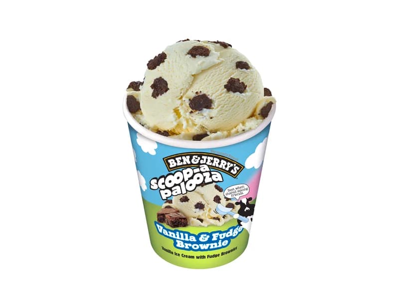 Scoop-a-palooza Vanilla and Fudge Brownie