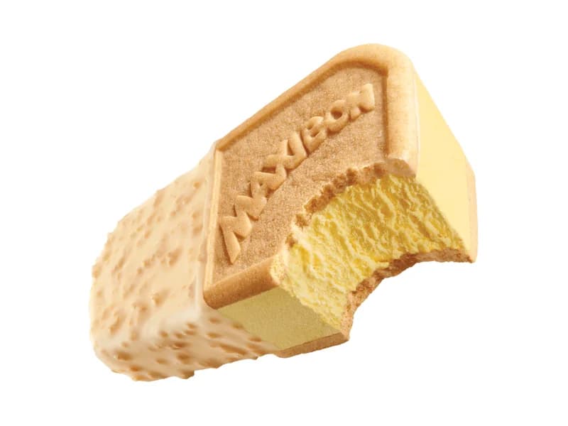 Vanilla Slice