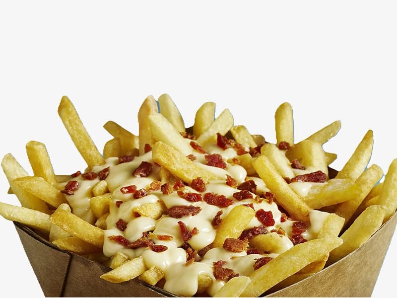 Loaded Cheesy Bacon Fries