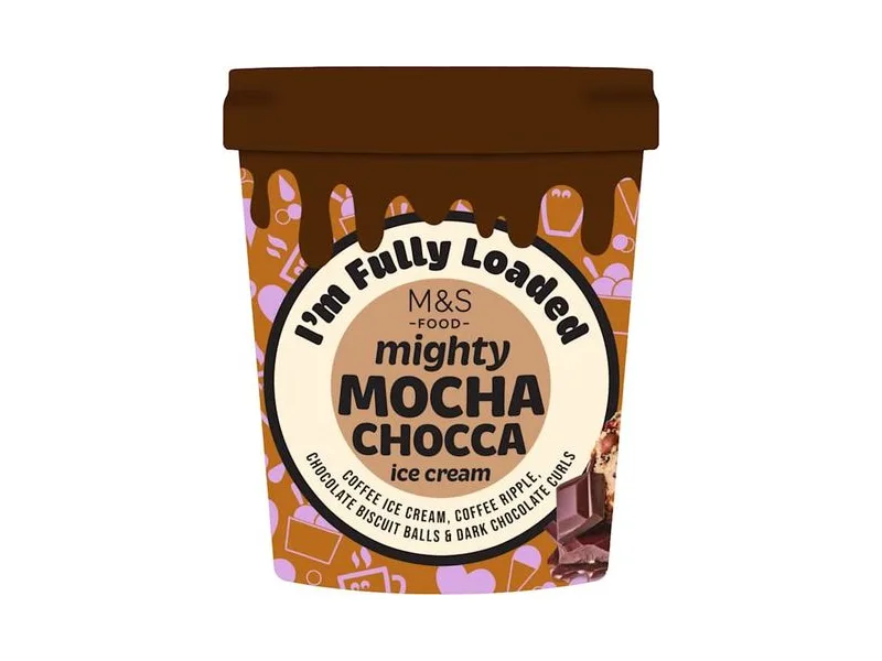 Mighty Mocha Chocca Ice Cream