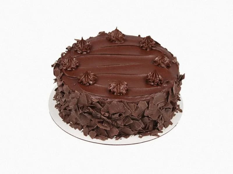10 Inch Chocolate Dessert Cake