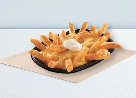 Cheesy Topped Fries
