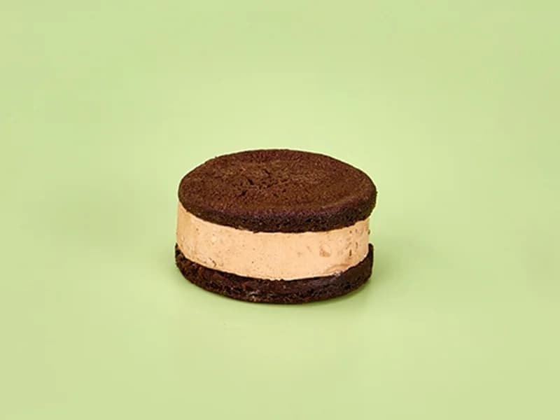 Double Chocolate Ice Cream Sandwich